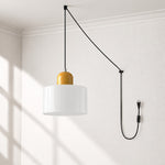 Bild in Gallery-Viewer laden, Mid‑Century Macaron Plug‑in Swag Pendant Light - Colorful Shade Hanging Lamp for Home Decor