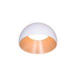 Charger l'image dans la visionneuse de galerie, Lampe de plafond Duo