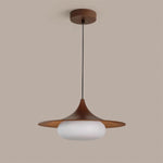 Load image into Gallery viewer, Molto Pendant Lamp
