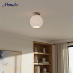 Load image into Gallery viewer, Selvion Architectural Flush Mount Light – Modern Flush Mount Lighting for Home Spaces
