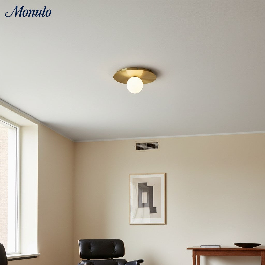 Rivolence Elegant Ring-Silhouette Nordic Wall/ Ceiling Light for Living Room