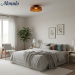 Charger l'image dans la visionneuse de galerie, Verdoma Applique Plafonnier en Verre Multicouche Sculptural Design Moderne Scandinave pour Espaces de Vie