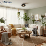 Charger l'image dans la visionneuse de galerie, Verdoma Applique Plafonnier en Verre Multicouche Sculptural Design Moderne Scandinave pour Espaces de Vie