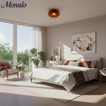 Charger l'image dans la visionneuse de galerie, Verdoma Applique Plafonnier en Verre Multicouche Sculptural Design Moderne Scandinave pour Espaces de Vie