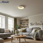 Charger l'image dans la visionneuse de galerie, Lampe de plafond Lumiflexa Sleek Circle - Design minimaliste pour salons modernes