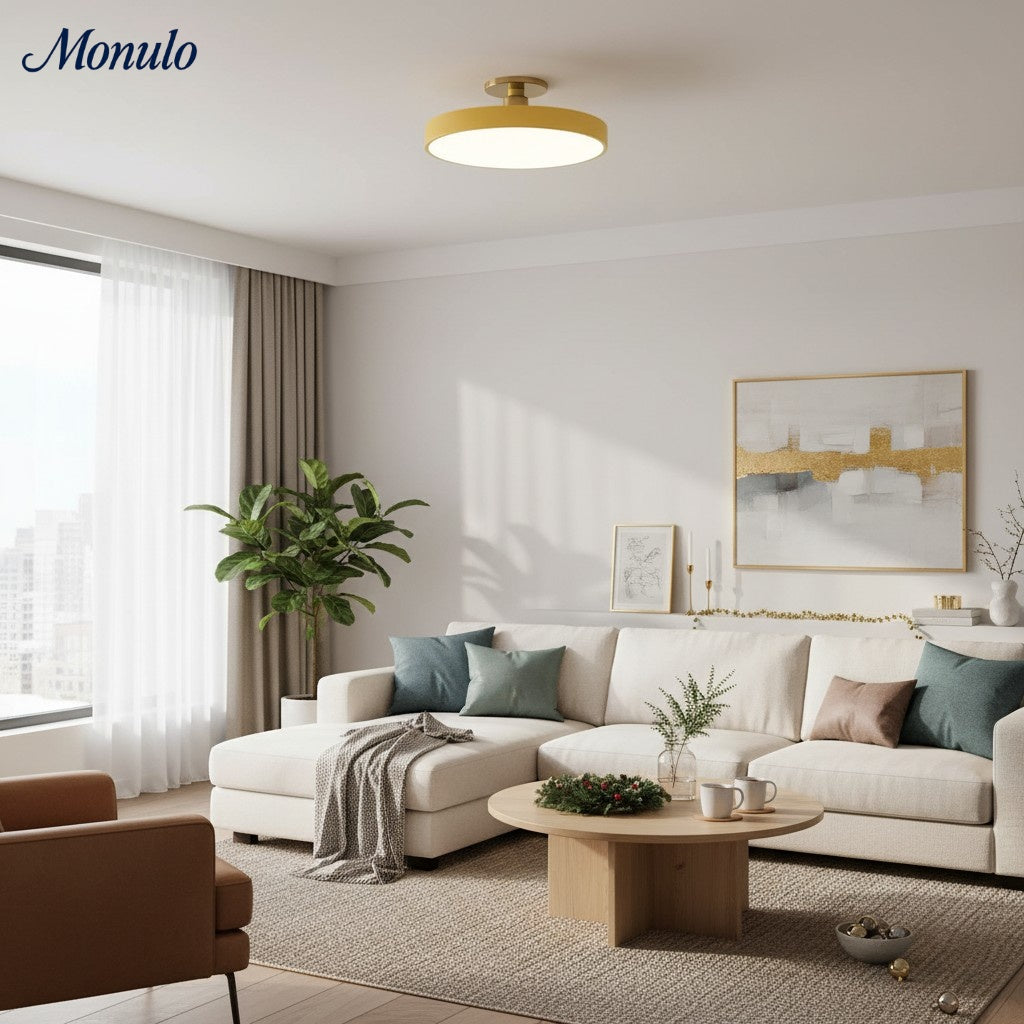 Lumiflexa Plafonnier Rond Minimaliste - Design Contemporain pour Couloir et Bureau