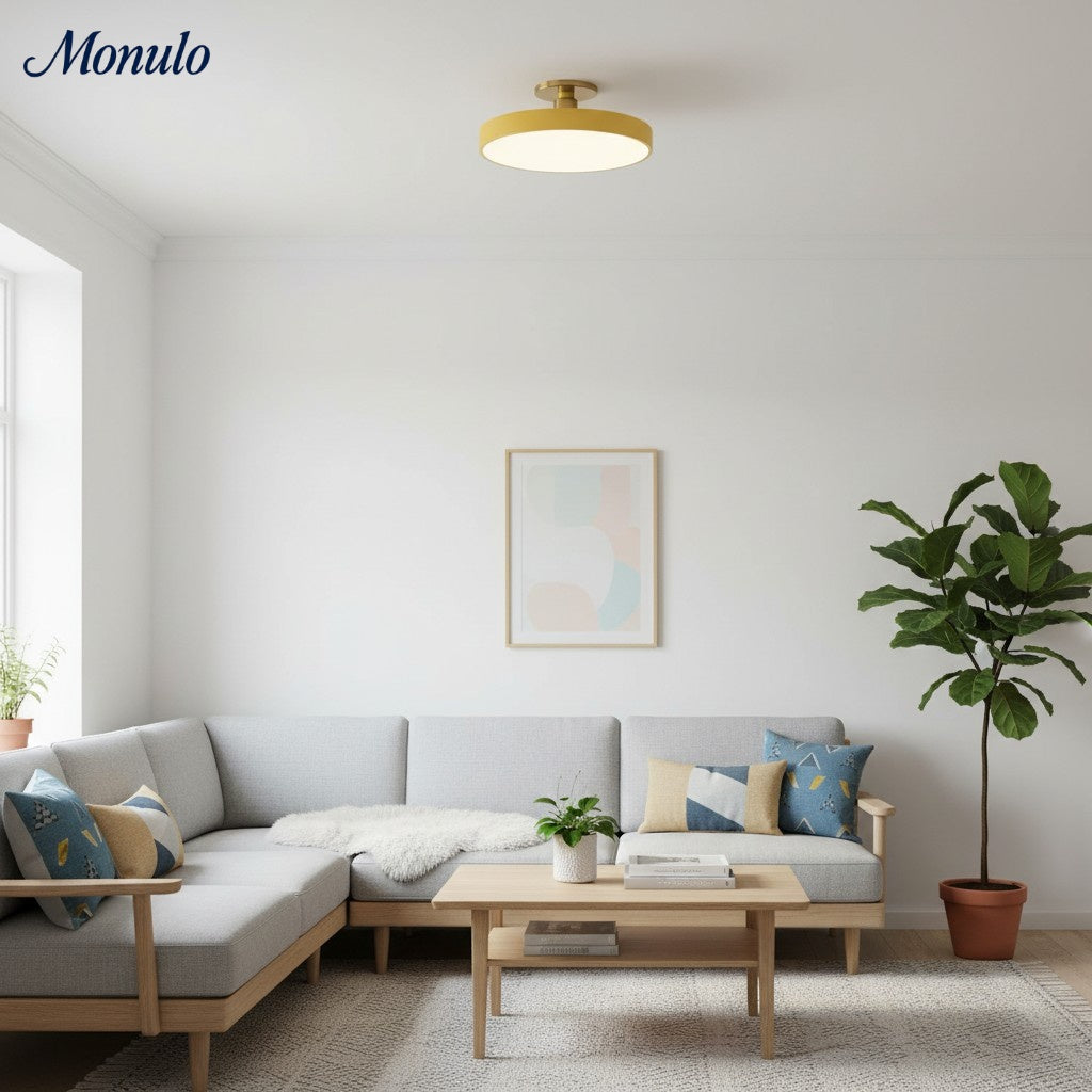 Lumiflexa Plafonnier Rond Minimaliste - Design Contemporain pour Couloir et Bureau