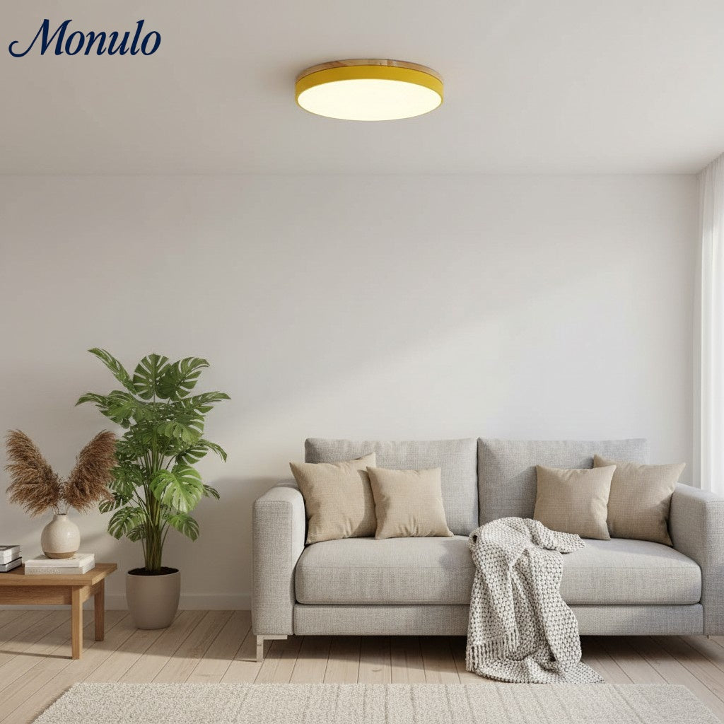 Lumiflexa Profil Élégant Lampe Plafonnier Moderne - Design Scandinave pour Chambre et Cuisine