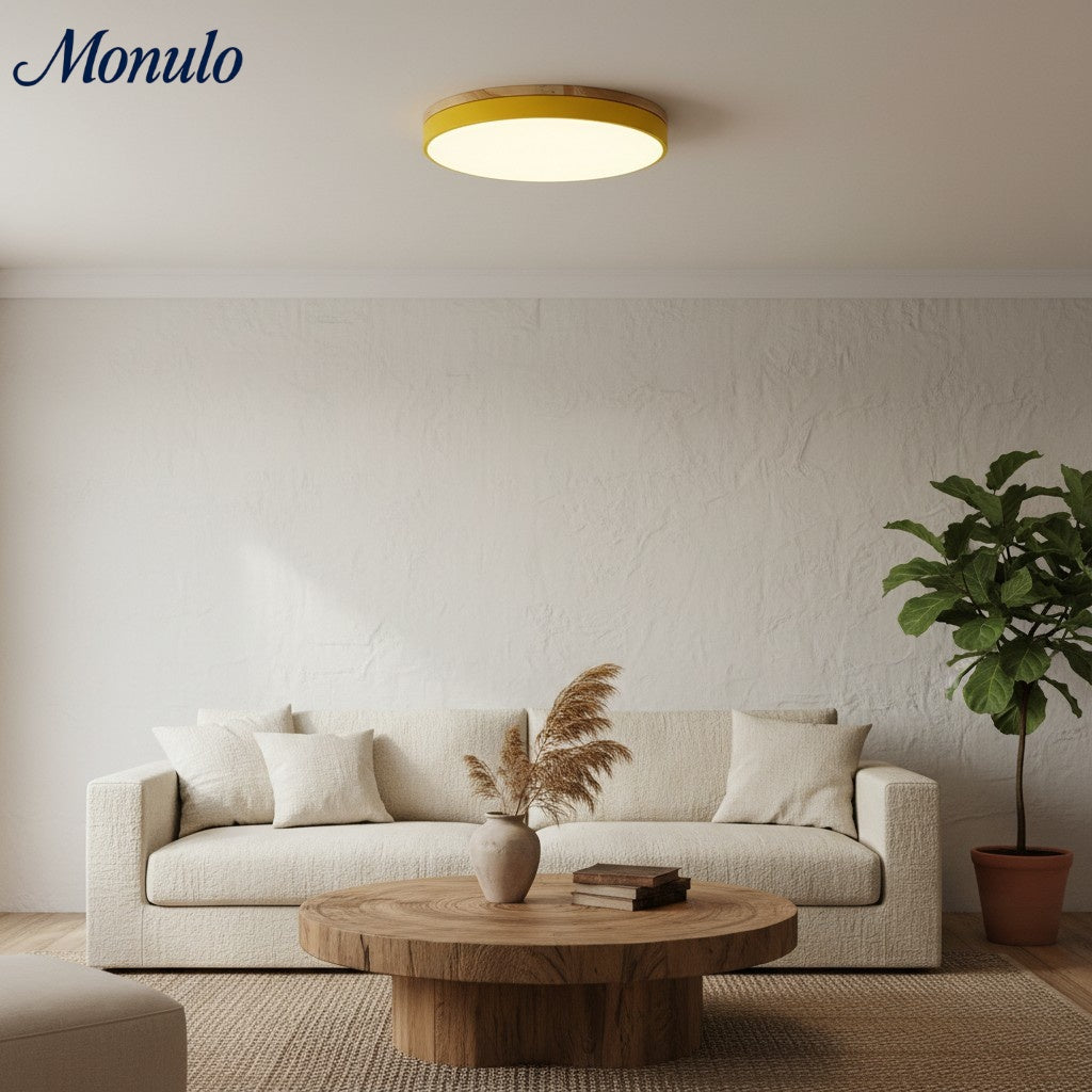 Lumiflexa Profil Élégant Lampe Plafonnier Moderne - Design Scandinave pour Chambre et Cuisine