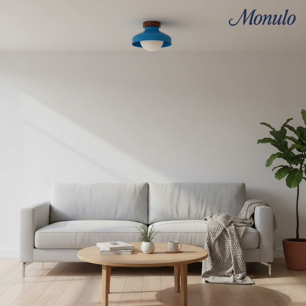 Oribela Plafonnier Moderne Minimaliste - Lampe Sculpturale en Verre en Forme de Dôme pour Salon et Cuisine