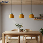 Fiesta Ceramic Bowl Pendant Light – Modern Colorful Ceiling Lamp for Kitchens and Dining Rooms