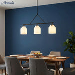 Load image into Gallery viewer, Hanton Nordic Metal Morandi Metal Pendant Light - Nordic Minimalist Fixture Light