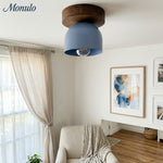 Load image into Gallery viewer, Metio Dome Scandinavian Oak Flush Mount Ceiling Light – Modern Minimalist Design for Living Room &amp; Bedroom