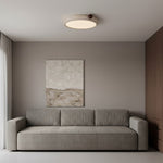 Load image into Gallery viewer, Metra Ceiling Light