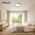 Cargar imagen en el visor de la Galería, Lámpara de techo redonda minimalista Crelina: luminaria de techo delgada y de perfil bajo, ideal para dormitorios y apartamentos.