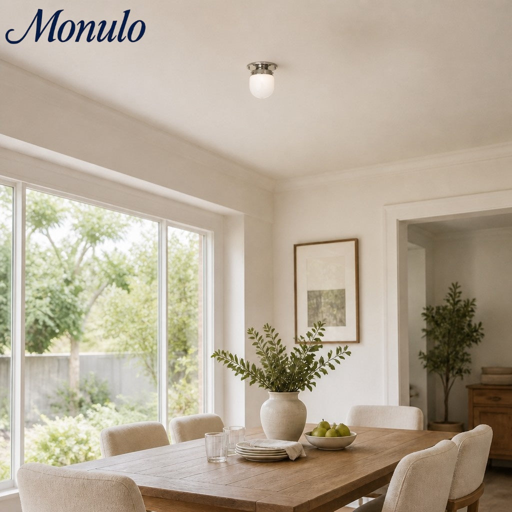 Lámpara de doble función de cristal opalino: elegante luminaria para techo y pared para hogares modernos.