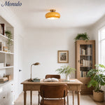Load image into Gallery viewer, Retro Brass Bauhaus Glass Disc Ceiling Lamp