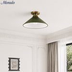 Bild in Gallery-Viewer laden, Aurenza Modern Industrial Aufbaulampe – Elegante Deckenlampe für Wohnräume