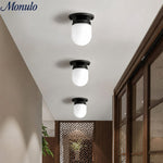Cargar imagen en el visor de la Galería, Lámpara de doble función de cristal opalino: elegante luminaria para techo y pared para hogares modernos.