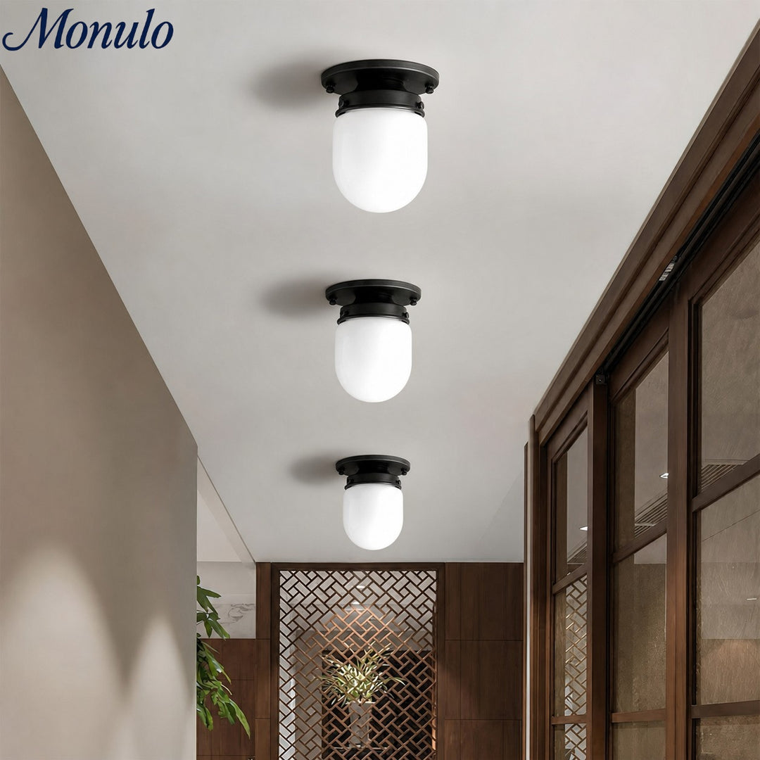 Lámpara de doble función de cristal opalino: elegante luminaria para techo y pared para hogares modernos.