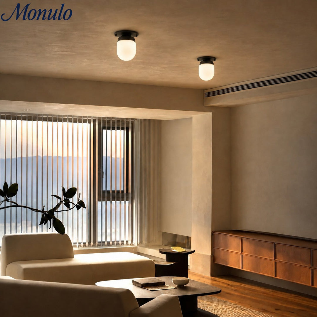 Lámpara de doble función de cristal opalino: elegante luminaria para techo y pared para hogares modernos.