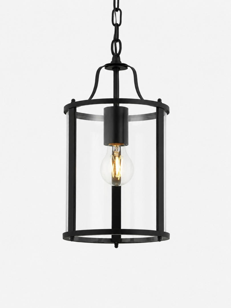 Aveline Clear Glass Metal Pendant Lamp