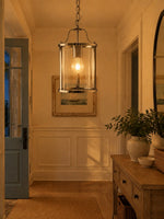 Load image into Gallery viewer, Aveline Clear Glass Metal Pendant Lamp