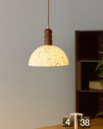 Load image into Gallery viewer, Sylvane Dome Pendant Lamp