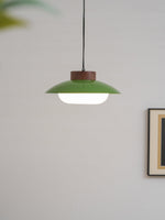 Bild in Gallery-Viewer laden, Saucer Plastic Plug-In Pendant Lamp