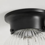 Bild in Gallery-Viewer laden, Close detail of black metal ceiling canopy and glass shade connection