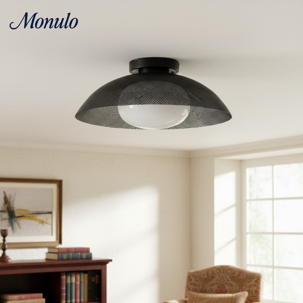 Lámpara de techo minimalista Elorina Clean-Line Contemporary — Iluminación de techo para pasillos y entradas