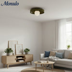 Load image into Gallery viewer, Kalo Versatile Glass Disc Modern Wall/Ceiling Fixture with Color-Accent Rim for Living Spaces