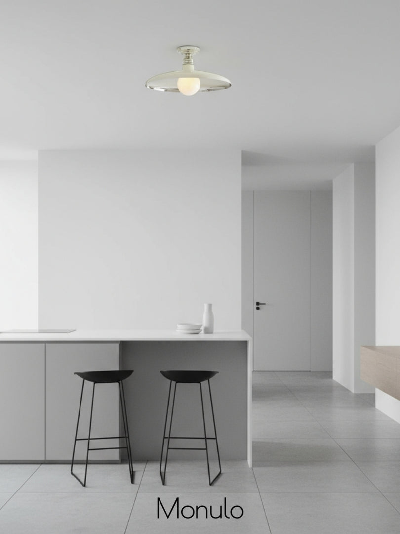 Forvara Farmhouse Metal Ceiling Light - Industrial Round Disc Design