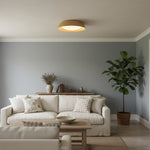 Charger l'image dans la visionneuse de galerie, Lampe de plafond Bambori style Japandi en bambou texturé - Lumière d'accent naturelle pour salon