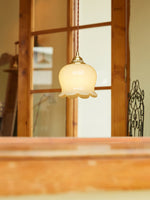 Load image into Gallery viewer, Brass Resin Petal Plug-In Pendant