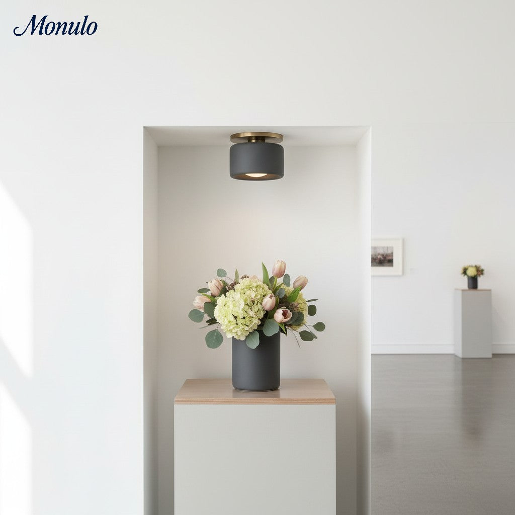 Cerova Contemporary Porcelain Flush Mount Ceiling Light – Soft Ambient Illumination for Hallways and Offices