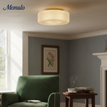 Load image into Gallery viewer, Pelviona Ribbed Glass Ceiling Light - Contemporary Minimalist Ceiling Fixture for Living Room or Dining Area
