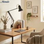 Bild in Gallery-Viewer laden, Modryx Schlanke Verstellbare Wandlampe mit Arm – Akzentbeleuchtung für Büro und Lesen