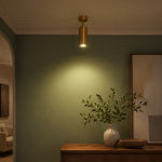 Load image into Gallery viewer, Brass ceiling spotlight installed above a console wall