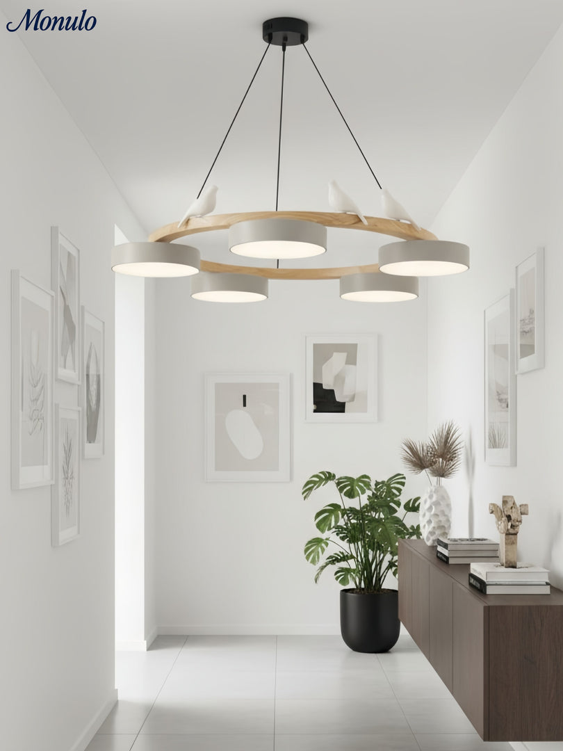 Modern Creative Colourful Circle Bird Chandelier
