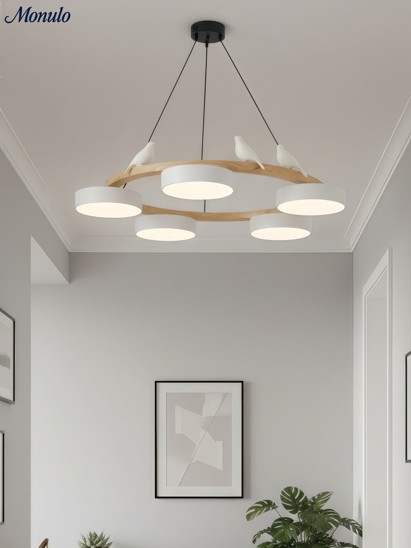 Modern Creative Colourful Circle Bird Chandelier