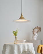 Bild in Gallery-Viewer laden, Arch-Shaped Aluminum Plug-In Pendant Light