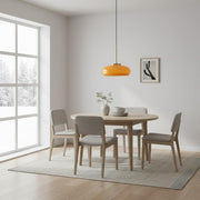 Lámpara colgante redonda de vidrio Havelo - Lámpara colgante Bauhaus para el hogar N51