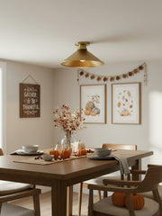 Aurenza Modern Industrial Flush Mount – Elegant Ceiling Lamp for Residential Interiors