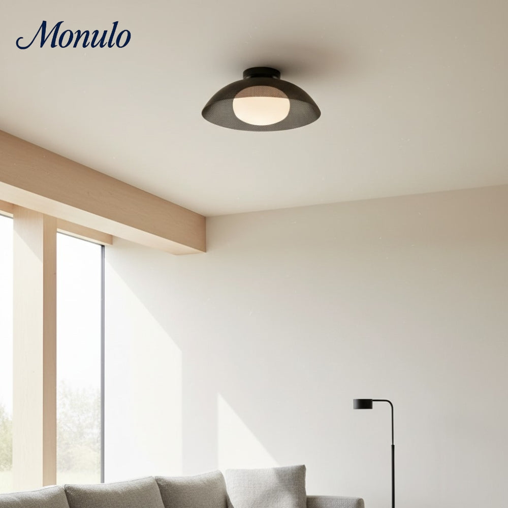 Lámpara de techo minimalista Elorina Clean-Line Contemporary — Iluminación de techo para pasillos y entradas