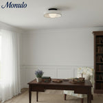 Load image into Gallery viewer, Kalo Versatile Glass Disc Modern Wall/Ceiling Fixture with Color-Accent Rim for Living Spaces