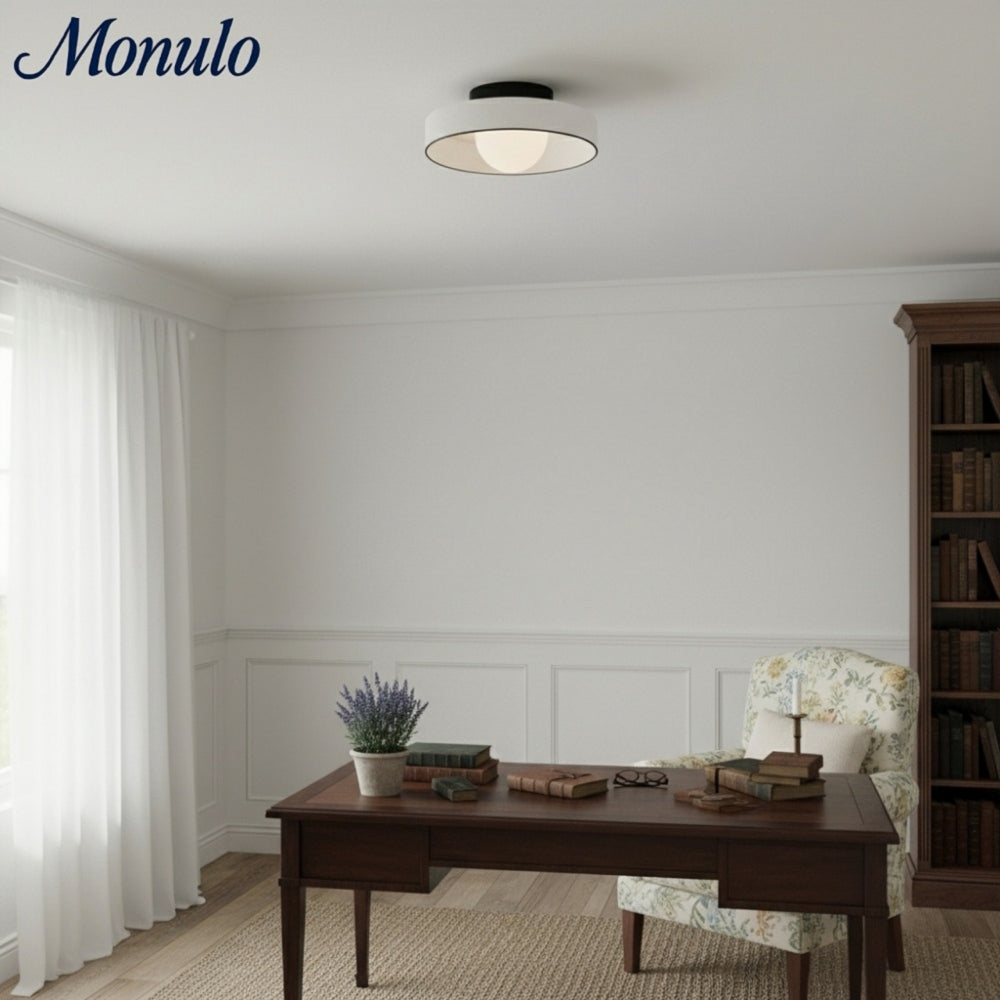 Kalo Versatile Glass Disc Modern Wall/Ceiling Fixture with Color-Accent Rim for Living Spaces