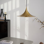 Bild in Gallery-Viewer laden, Arch-Shaped Aluminum Plug-In Pendant Light