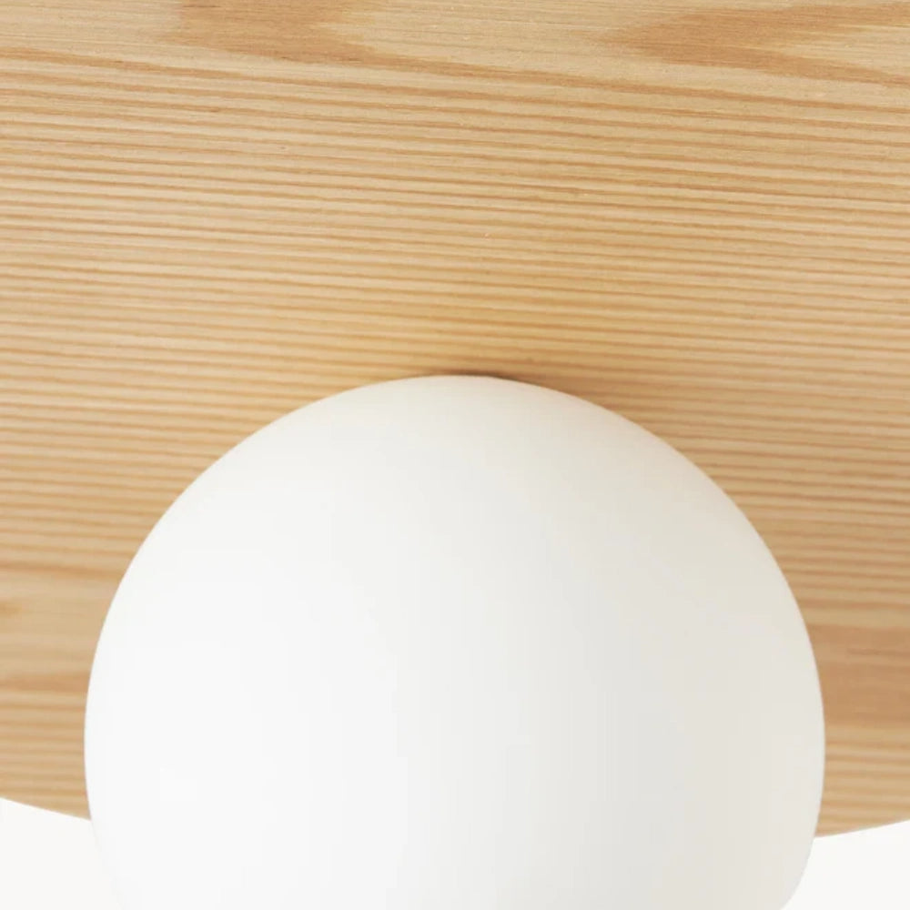 Rivolence Elegant Ring-Silhouette Nordic Wall/ Ceiling Light for Living Room