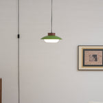 Bild in Gallery-Viewer laden, Saucer Plastic Plug-In Pendant Lamp
